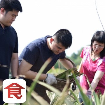 [飲食男女]主婦變農(nóng)婦 三母子打理15萬(wàn)呎蘆薈田 自種自銷蘆薈